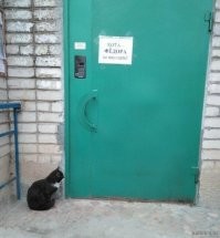 Пустите, суки! Я Вася!!!