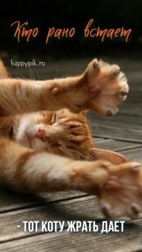 С добрым утром!