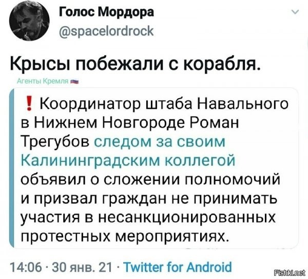 Не, это побежали самые умные из них: