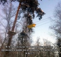 так вот он какой, струнный транспорт Руницкого