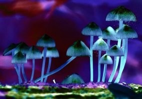 <<В российских школах могут появиться учебники с дополненной реальностью.>>