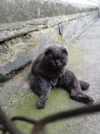 С добрым утром.