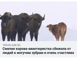 Из России с юмором. Часть 2