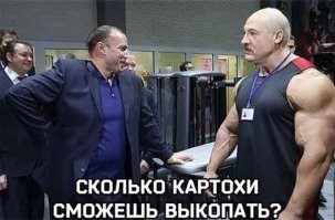 Смешные и познавательные картинки