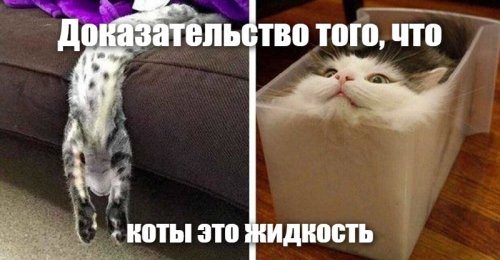 Смешные и познавательные картинки