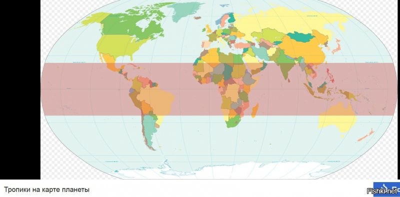 Для особенных. Вот тропики: