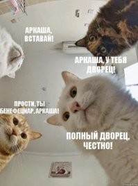 Аркадий Ротенберг назвал себя хозяином дворца под Геленджиком