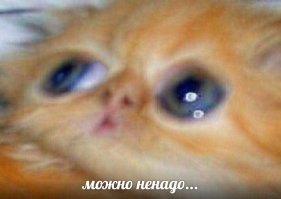 Римейку "Гостья из будущего" быть