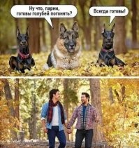 Креативная реклама с неожиданным финалом