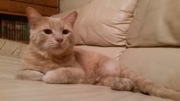 Жаль что прожил только 6 лет(