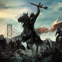 Намешалось