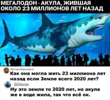 Смешные и познавательные картинки