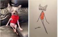 Этой собачке даже такой художник безбожно польстил.