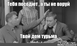 4 года тюрьмы за 20 сосен