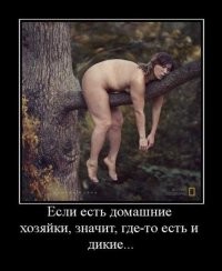 Скоротать вечерок.Демотиваторы