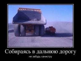 Смешные и познавательные картинки