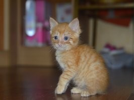 Подвальный Василий 3 недели и 3 года