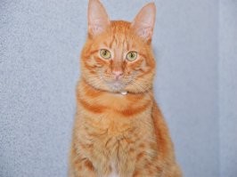 Подвальный Василий 3 недели и 3 года