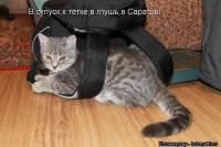 Не ищите здесь смысл. Здесь в основном маразм