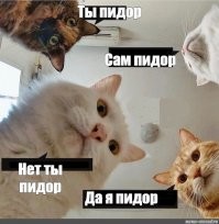 Самообороняться или нет!
