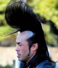 Самка или самец: половые различия у разных животных