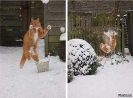 А бывает и так...