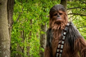 Что ты знаешь о трудностях? Победи вот это и тогда стану разговаривать как с равным.