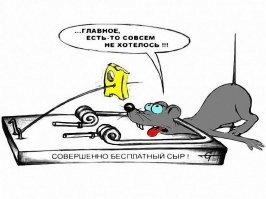 Парадокс мандарина: на что человек готов ради денег