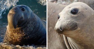Эта фотка чет напомнила...