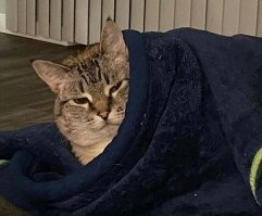 Потому что, мы и так совершенны!