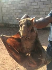 В копилку знаний: 30 любопытных фактов обо всем на свете