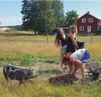 ну вот это скорее всего Финляндия,Норвегия или Швеция...хотя какая разница.