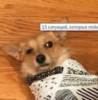 валить надо отсюда пока не пока