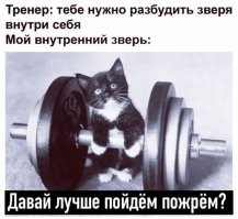 Смешные и познавательные картинки