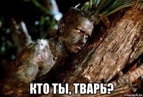 Смешные и познавательные картинки