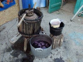 Сыр, говорите?.. Ну, может, и сыр...