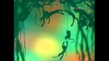 Родственники чернокожего подсудимого устроили потасовку в зале суда