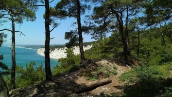 Ага
у меня сейчас на улице - почти +15
И еще.....
много коллег приехали на побережье с Сибири и особенно - с Урала
Говорят, дети - астматики вылечиваются у нас за месяц-два "сами собой"
Возвращаются обратно в Челябу - снова кашель и удушье.
.
Народ прикинул куй к носу, продал все, что было, и переехал на низшие должностя, на невеликие южные зарплаты.
Зато, говорят, дети на глазах ожили и расцвели.
Все прошло сразу.
Ездят теперь под Геленджик, там есть у моря роща реликтовой Пицундской сосны......
вообще сказочный воздух.
тащщатся, аки удавы.....под шашлычок на мангальчике.....
.