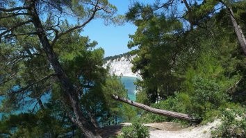 Ага
у меня сейчас на улице - почти +15
И еще.....
много коллег приехали на побережье с Сибири и особенно - с Урала
Говорят, дети - астматики вылечиваются у нас за месяц-два "сами собой"
Возвращаются обратно в Челябу - снова кашель и удушье.
.
Народ прикинул куй к носу, продал все, что было, и переехал на низшие должностя, на невеликие южные зарплаты.
Зато, говорят, дети на глазах ожили и расцвели.
Все прошло сразу.
Ездят теперь под Геленджик, там есть у моря роща реликтовой Пицундской сосны......
вообще сказочный воздух.
тащщатся, аки удавы.....под шашлычок на мангальчике.....
.