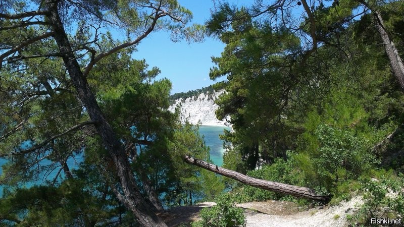 Ага
у меня сейчас на улице - почти +15
И еще.....
много коллег приехали на побережье с Сибири и особенно - с Урала
Говорят, дети - астматики вылечиваются у нас за месяц-два "сами собой"
Возвращаются обратно в Челябу - снова кашель и удушье.
.
Народ прикинул куй к носу, продал все, что было, и переехал на низшие должностя, на невеликие южные зарплаты.
Зато, говорят, дети на глазах ожили и расцвели.
Все прошло сразу.
Ездят теперь под Геленджик, там есть у моря роща реликтовой Пицундской сосны......
вообще сказочный воздух.
тащщатся, аки удавы.....под шашлычок на мангальчике.....
.