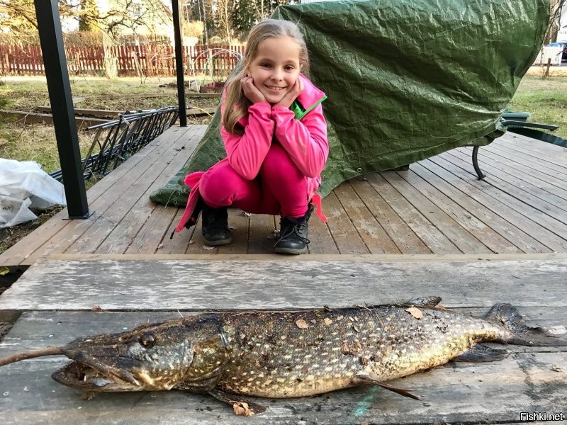 Я года три назад сходил на рыбалочку с дочерью... "Папа отойжи от нее, она тебя сожрет". И это в благодарность, что не дал этому крокодилу дочерь в озеро уволочь. Одно жаль - ей больше нет смысла на рыбалку ходить, она уже себя не переплюнет.