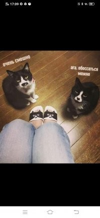 Веселые  картинки