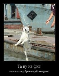 Просто гифки, всякие и разные