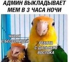 «Чем у ваших котов пятки пахнут?..»