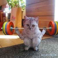 Смешные и познавательные картинки