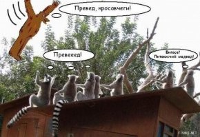 Превед, медвед: легендарному российскому мему исполнилось 15 лет
