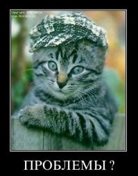 Смешные и познавательные картинки