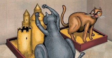 15 угарных снимков, доказывающих, что с котиками не соскучишься  