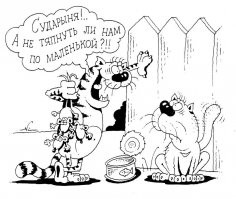 15 угарных снимков, доказывающих, что с котиками не соскучишься  