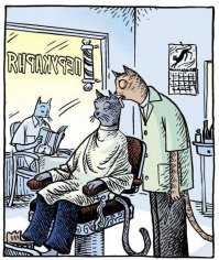 15 угарных снимков, доказывающих, что с котиками не соскучишься  